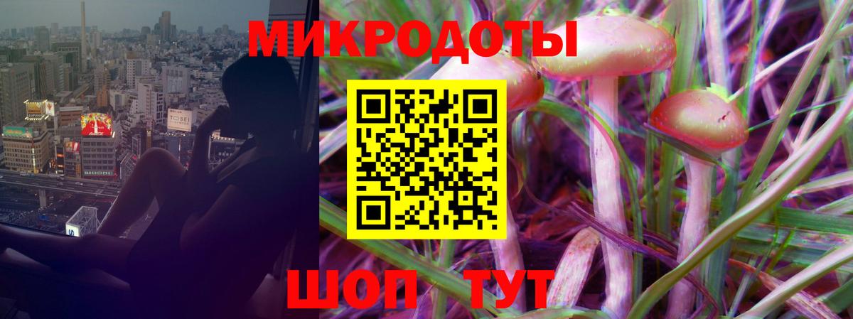 Псилоцибиновые грибы Cubensis Азов